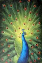 Павлин с роскошным хвостом