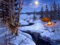 Пара оленей пришли, погреется у костра в зимнем лесу