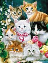 Семь разномастных котят в цветах