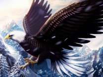 Полет орла над вершиной горы