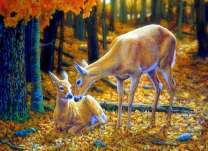 Молодые олени в осеннем лесу