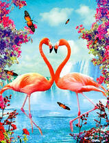 Пара фламинго у водопада с бабочками