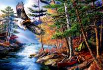 Отдых у реки и белоголовый орлан