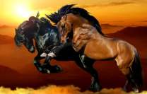 Сила мустангов