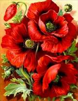 Крупные маки на желтом фоне