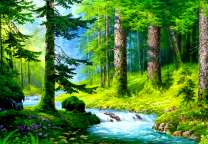 Чистая река в лесу