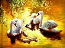 Лебеди и их потомство на озере