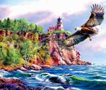 Полет орлана над буйным морем