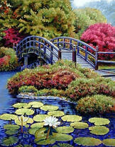 Мостик через реку с белыми лилиями