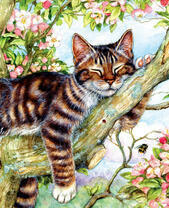 Спящий котенок на цветущей яблоне