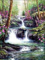 Весенние цветы на берегу лесного ручья