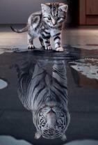 Огромные мечты маленького котенка