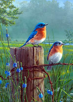 Синие птички на ограде у леса