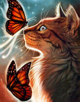 Пушистая кошка и две бабочки