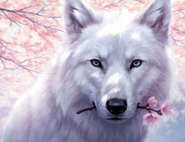 Белый волк с цветущей сакурой