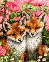 Два лисенка в цветущих маках