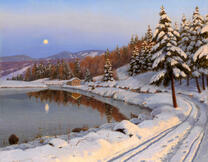 Укатанная в снегу дорга к домику