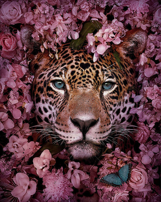 Алмазная мозаика 40x50 Леопард в букете роз