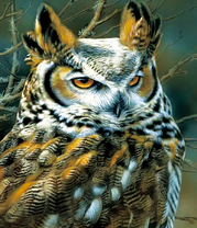 Строгий филин