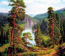 Прекрасный пейзаж с горной рекой и лесом