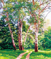 Дорога ведущая в лес