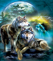 Большие серые волки на фоне темной ночи