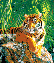 Большой тигр на камне