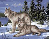 Волки зимой на снегу