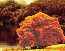 Золотая осень у озера