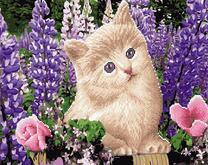 Котенок среди красивых цветов