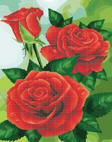 Сочные розы